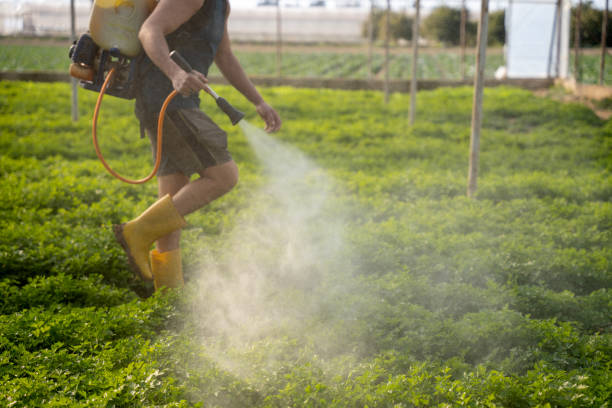 Best Residential Pest Control  in Prescott, AR
