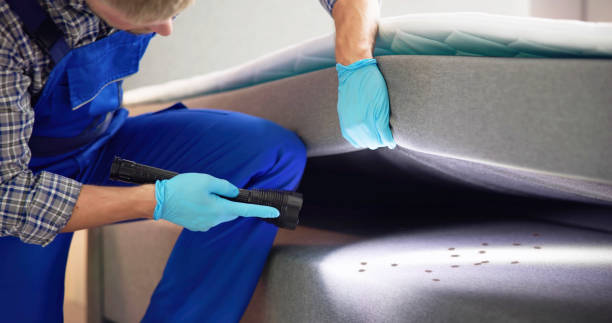 Best Best Pest Control Companies  in Prescott, AR