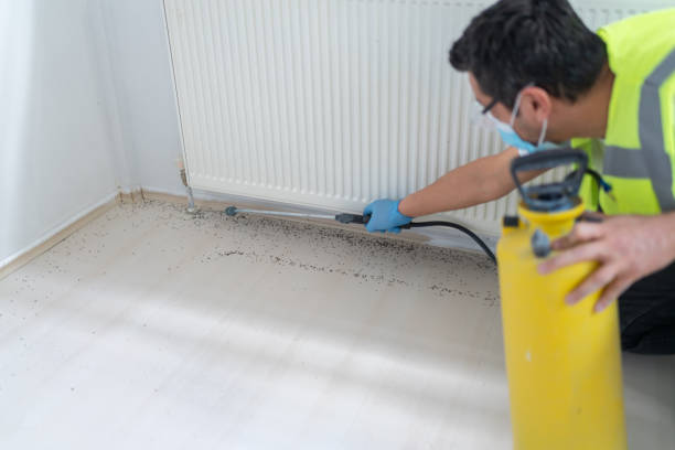 Best Termite Control Services  in Prescott, AR
